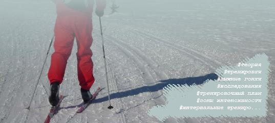 Беговые лыжи: увеличение интенсивности тренировок приводит к увеличению максимального уровня VO2